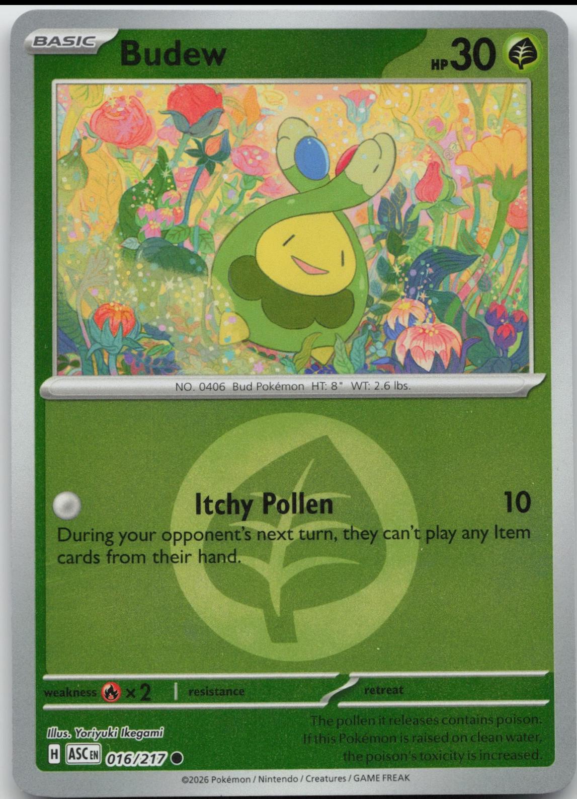 Ascended Heroes Budew [Energy] Pokémon card